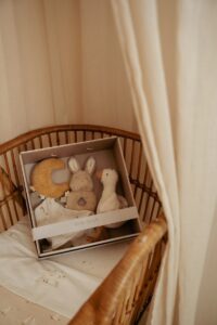 Darilni paket Newborn Naturals - slika 3
